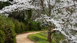 Orangeburg hotel directory