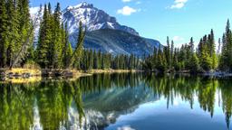 Find cheap flights to Alberta