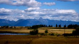 Cranbrook car hire