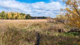 Find cheap flights from Durban to Minnesota