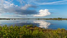 Titusville car hire