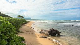 Lihue car hire