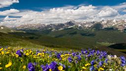 Breckenridge Hotels
