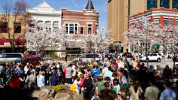 Find cheap flights to Fayetteville