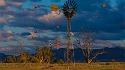 South Australia hotels