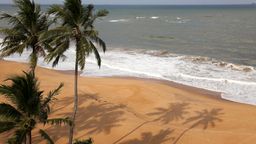 Find cheap flights to Colombo Bandaranaike Intl