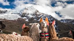 Cusco hotels