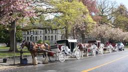 Find cheap flights from Cape Town to Canada