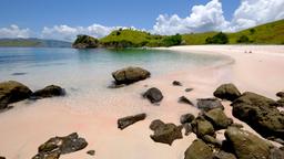 East Nusa Tenggara hotels