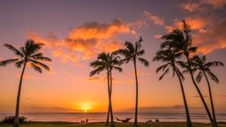 Find cheap flights to Honolulu