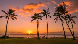 Find cheap flights to Honolulu
