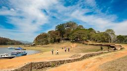 Thekkady Hotels