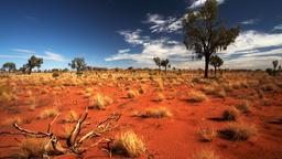 Hotels near Yulara Ayers Rock Connellan Airport