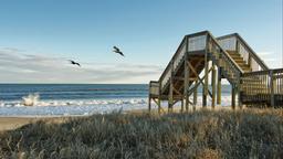 Find cheap flights from Johannesburg to Jacksonville