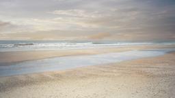 Find cheap flights to Jacksonville