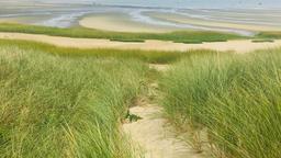 Find cheap flights from Cape Town to Cape Cod and the Islands