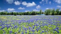 Gatesville hotels