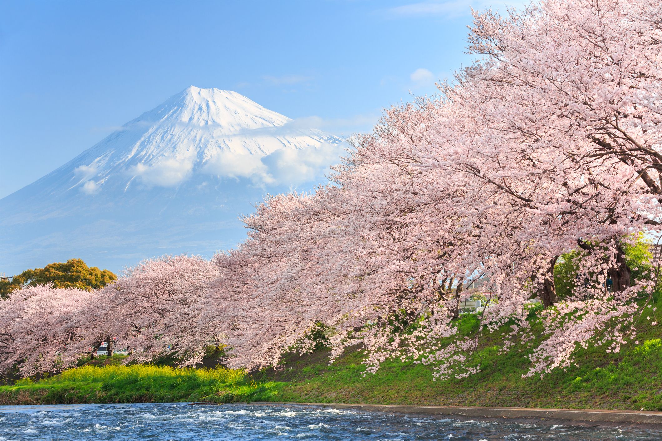 R7 872 CHEAP FLIGHTS from Johannesburg O.R. Tambo Airport to Japan
