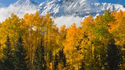 Hotels near Telluride Airport