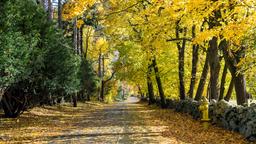 Dedham Hotels