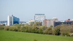 Basingstoke car hire