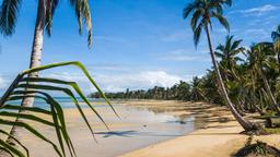 Find cheap flights from Cape Town to Madagascar