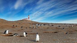 Punta Arenas car hire