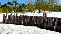 Find cheap flights to Tanzania