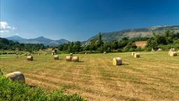 Pomezia car hire