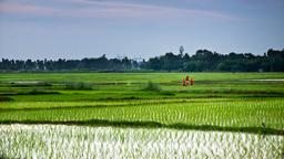 West Bengal hotels