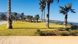 Nador car hire