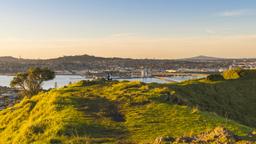 Mangere car hire