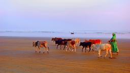 Digha Hotels