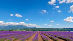 Furano hotel directory