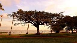 Find cheap flights to Ivory Coast