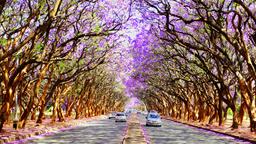 Find cheap flights to Harare