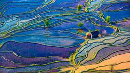 Yunnan hotels
