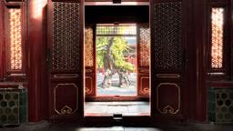 Find cheap flights from Johannesburg to Beijing