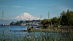 Tacoma car hire