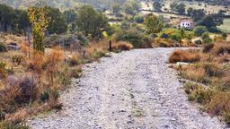 Las Rozas car hire