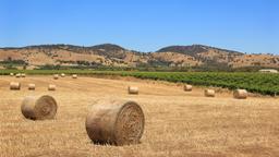 Barossa Valley holiday rentals