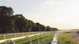 Epsom Hotels