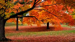Find cheap flights to Worcester