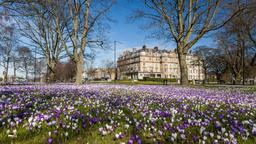Harrogate car hire
