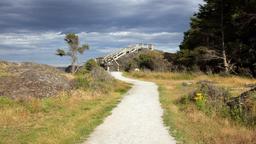 Hotels near Harbour airport