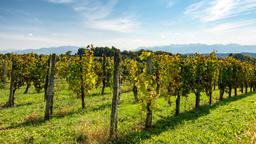Find cheap flights to Pau