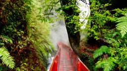 Find cheap flights to Chile