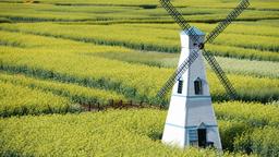 Find cheap flights to China