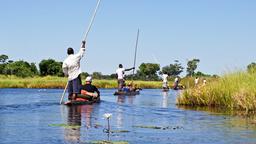 Find cheap flights from Johannesburg to Maun