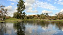 Buena Park car hire